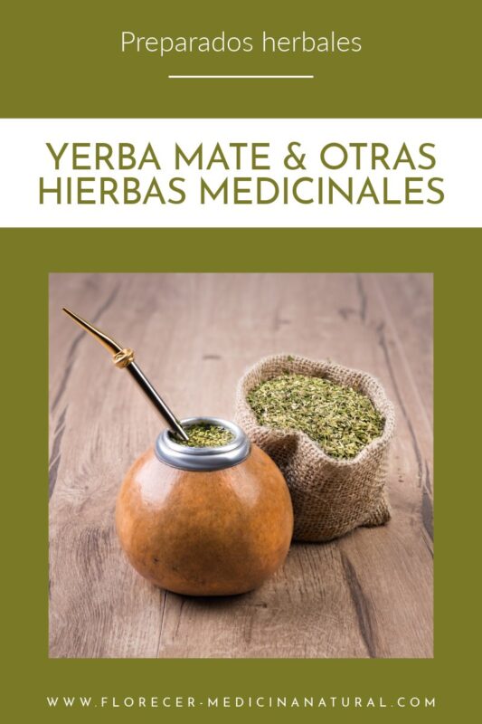 Yerba Mate (Ilex paraguariensis) y hierbas para potenciar sus propiedades medicinales.