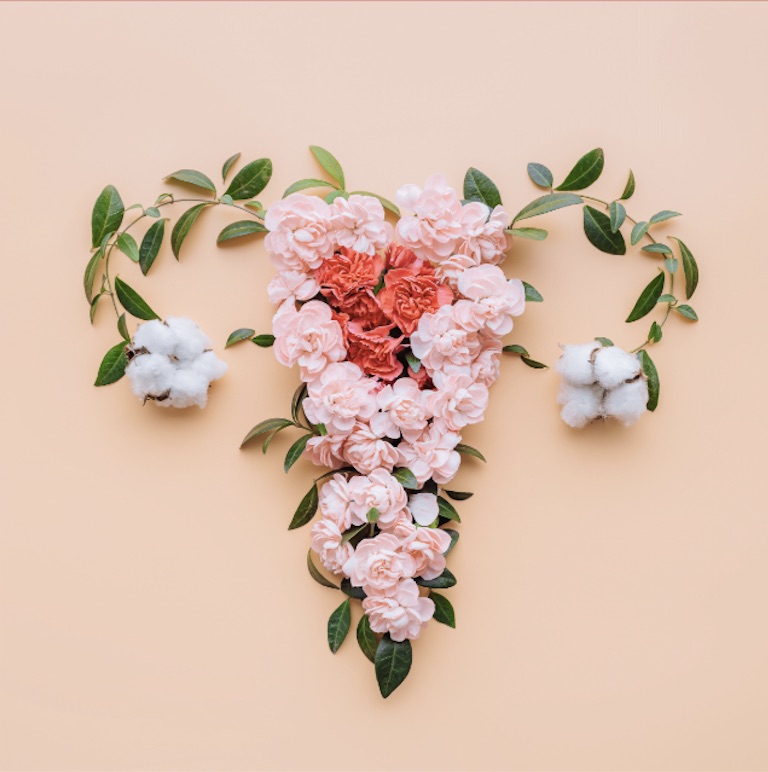 Flores rosas, rojas y blancas en forma del sistema reproductor femenino