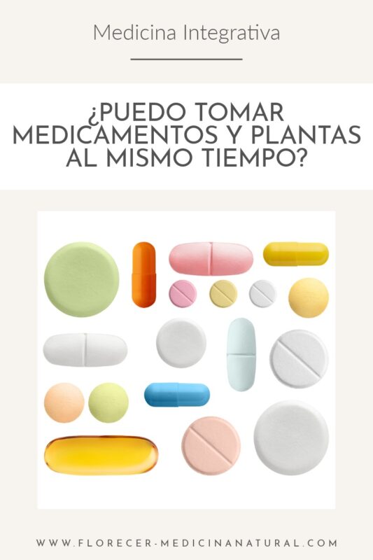 ¿Puedo tomar medicamentos e infusiones de plantas al mismo tiempo?