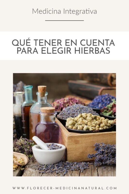 ¿Sabés qué tener en cuenta a la hora de elegir hierbas?