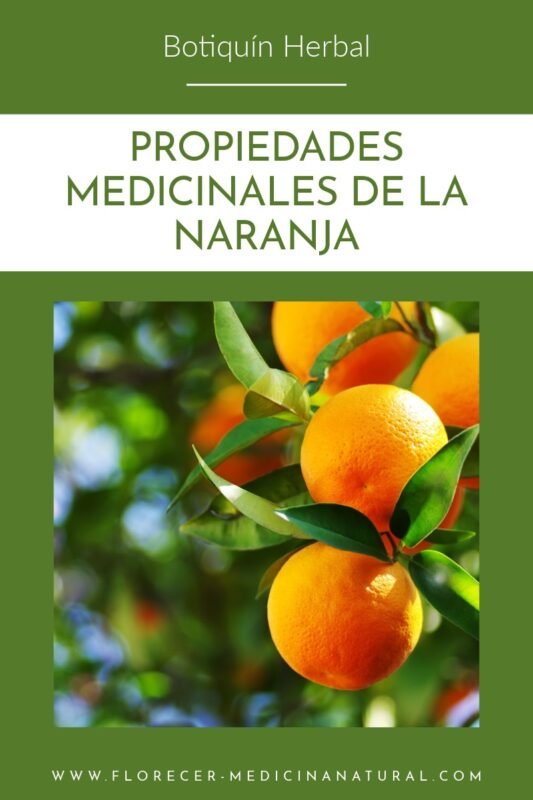 Recetas, beneficios y secretos medicinales de la naranja