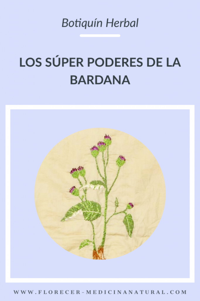 Los Súper Poderes De La Bardana