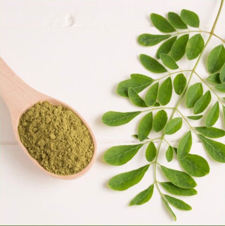 PROPIEDADES MEDICINALES MORINGA