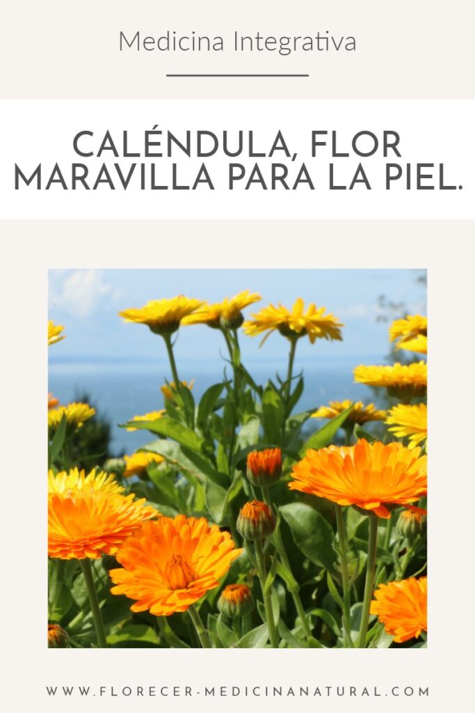 Caléndula, flor maravilla para la piel.