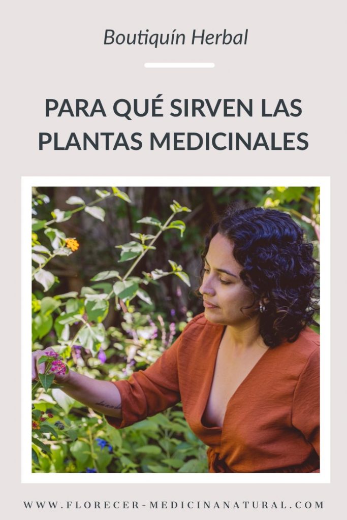 Para qué sirven las plantas medicinales