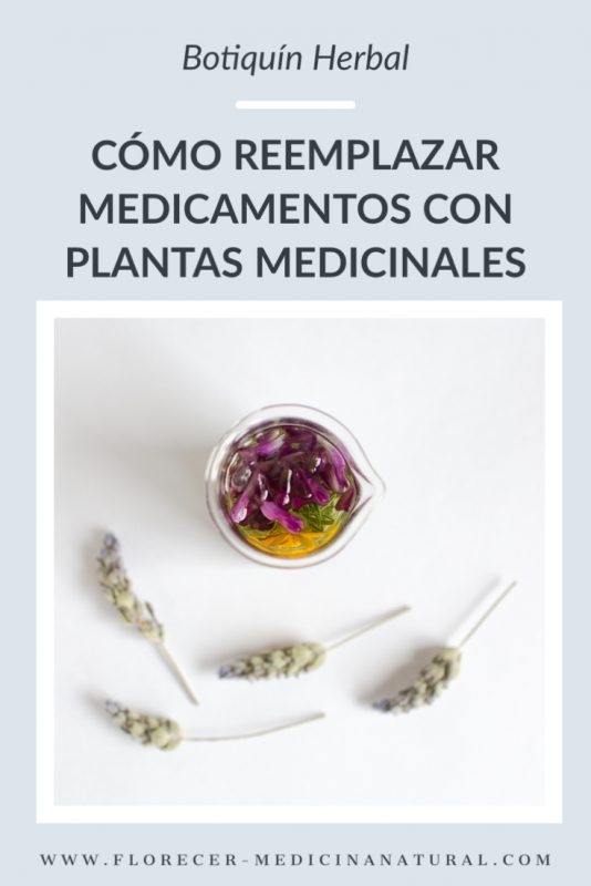Cómo reemplazar medicamentos con plantas medicinales