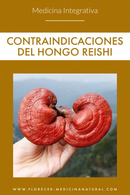 Contraindicaciones del hongo Reishi