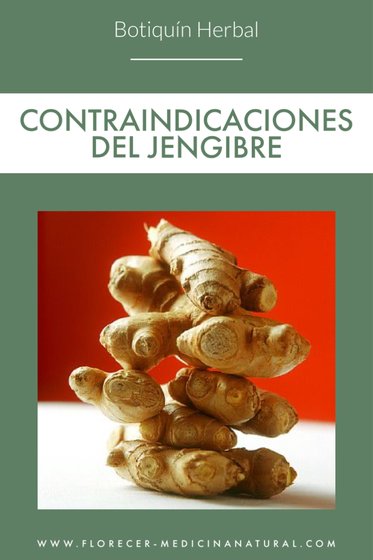 Contraindicaciones Del Jengibre - Florecer - Medicina Natural