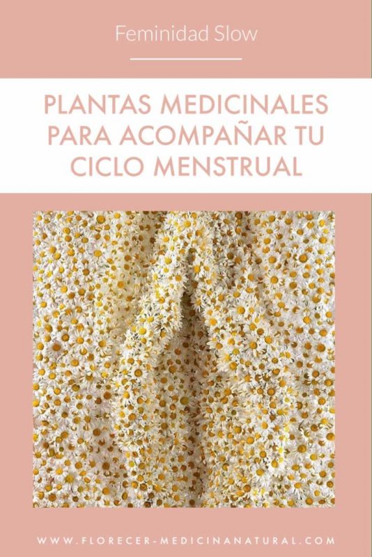 Plantas medicinales para acompañar tu ciclo menstrual
