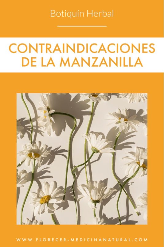 Contraindicaciones de la Manzanilla