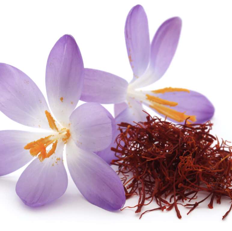 Las propiedades medicinales del Azafrán (Crocus sativus)