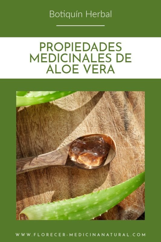 Las propiedades medicinales Aloe Vera (Aloe barbadensis)