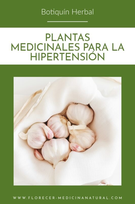 Plantas Medicinales para el Tratamiento de la Hipertensión