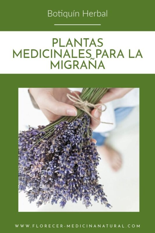 Plantas Medicinales para el Tratamiento de la Migraña: una alternativa natural