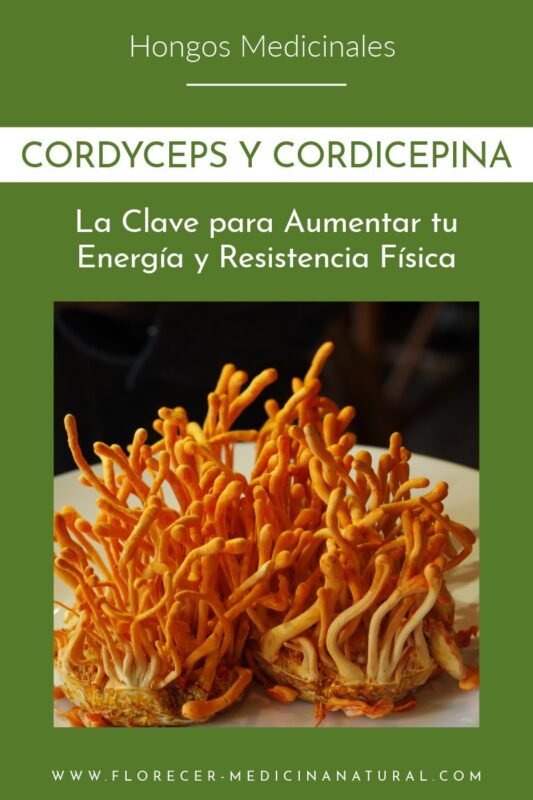 Cordyceps y Cordicepina: La Clave para Aumentar tu Energía y Resistencia Física