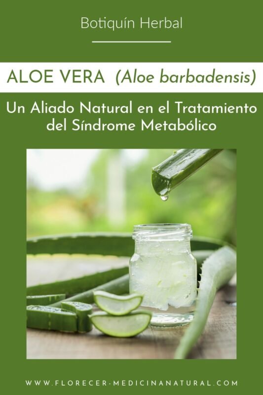 Aloe Vera: Un Aliado Natural en el Tratamiento del Síndrome Metabólico