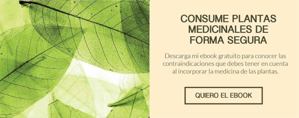 plantas medicinales, contraindicaciones, efectos adversos e interacciones