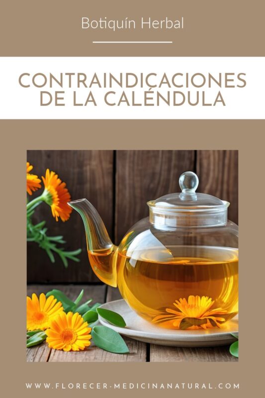 Contraindicaciones de la Caléndula (Calendula officinalis).