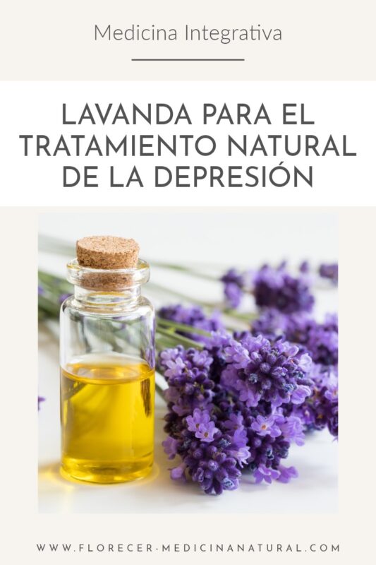 Lavanda para el alma: tradición y ciencia en el tratamiento natural de la depresión