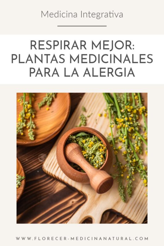 Respirar mejor: plantas aliadas que calman la alergia.
