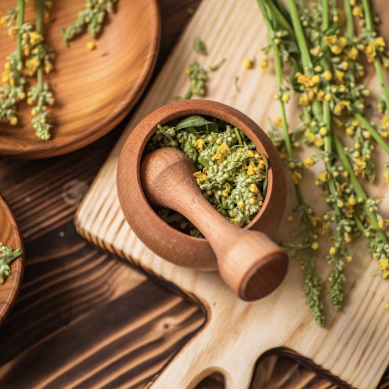 Respirar mejor: plantas aliadas que calman la alergia.